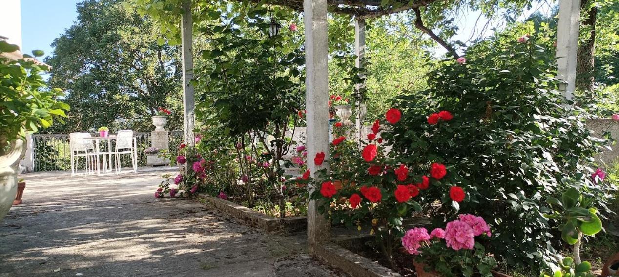 Casavacanze La Vigna Arenabianca المظهر الخارجي الصورة